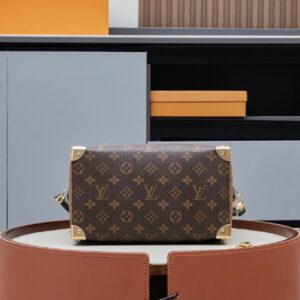 Brown — Louis-vuitton-Bag-11.jpeg