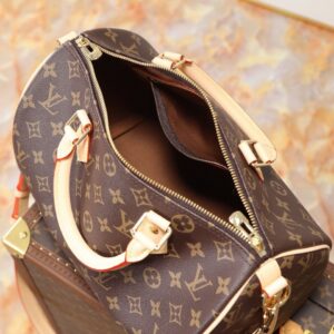 Brown — Louis-vuitton-Bag-2.jpeg