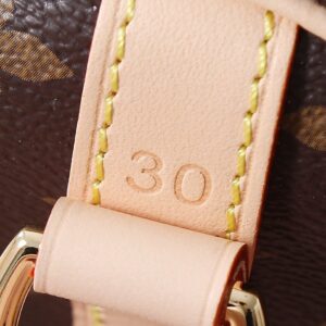 Brown — Louis-vuitton-Bag-5.jpeg
