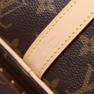 Brown — Louis-vuitton-Bag-6.jpeg
